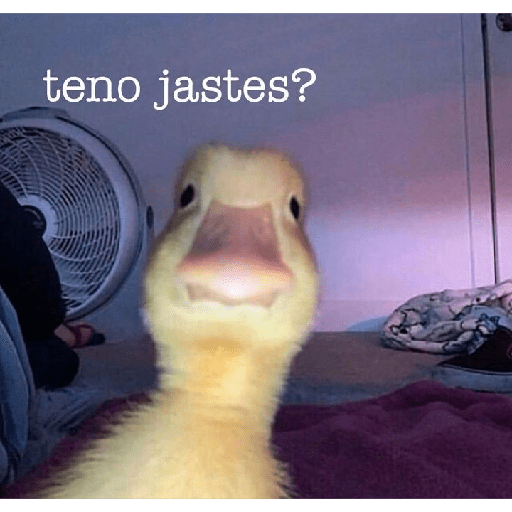 Divertidos 27