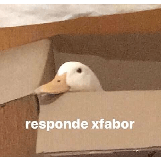 Divertidos 25