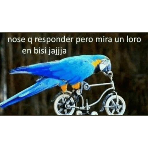 Buenas noches 5
