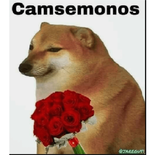 Buenas noches 27