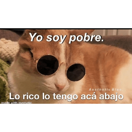 Buenas noches 14