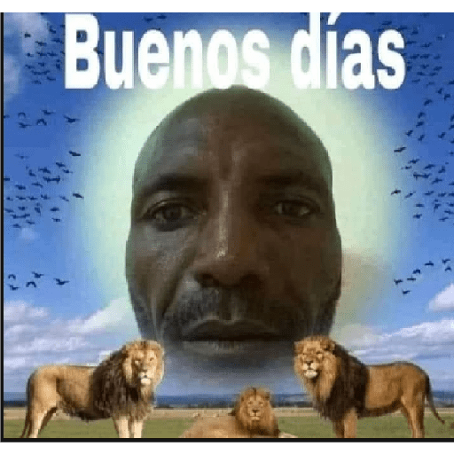 Buenas noches 28