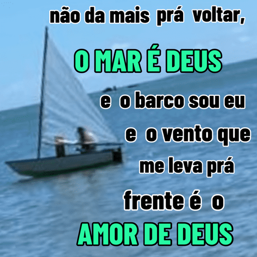 Minhas figurinhas 24