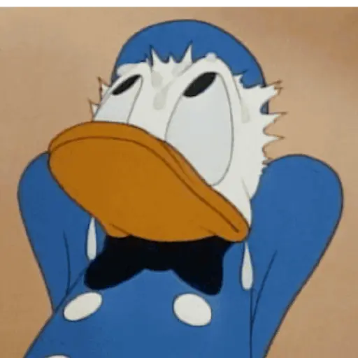 Medo 11