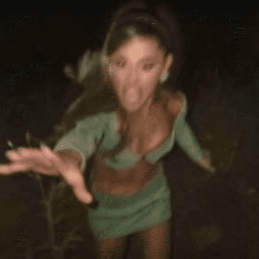 Ariana grande-butera 9