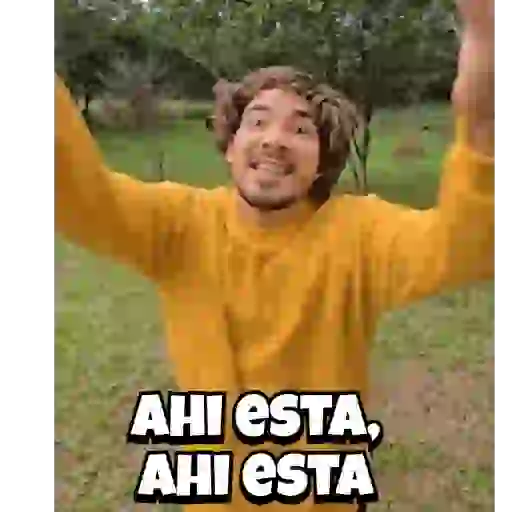 Gatitos 5