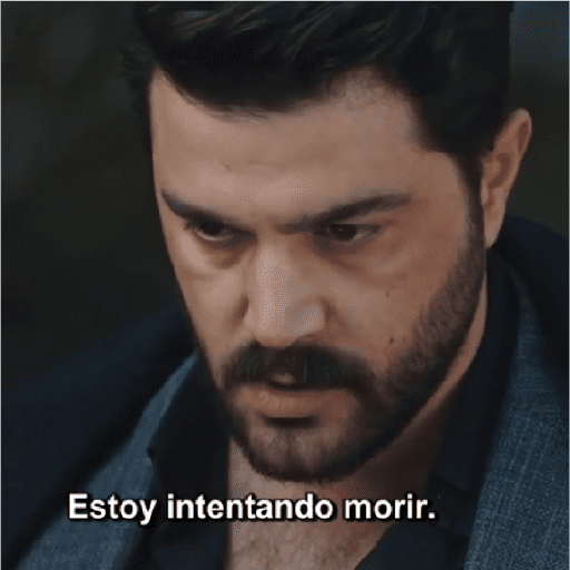 Hudutsuz Sevda  1