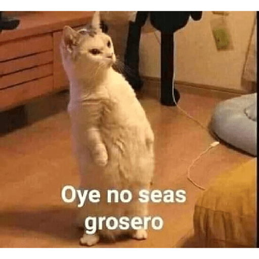 Mar 11