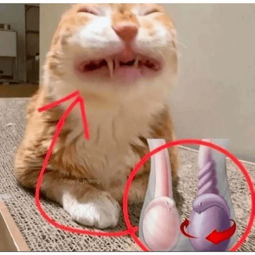 Chat 3