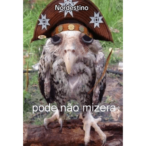 Chat 7
