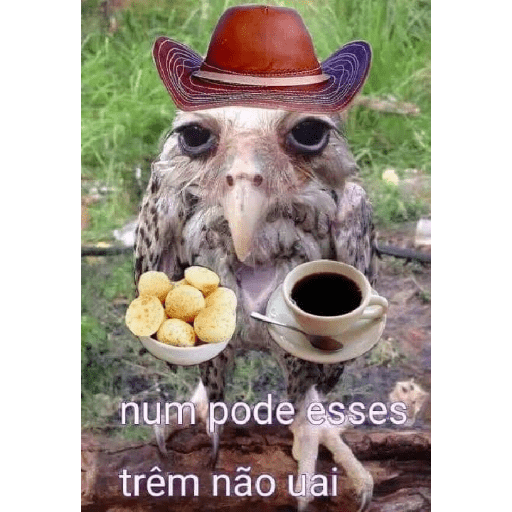 Chat 6
