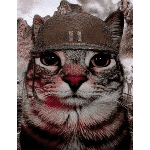 Chat 16