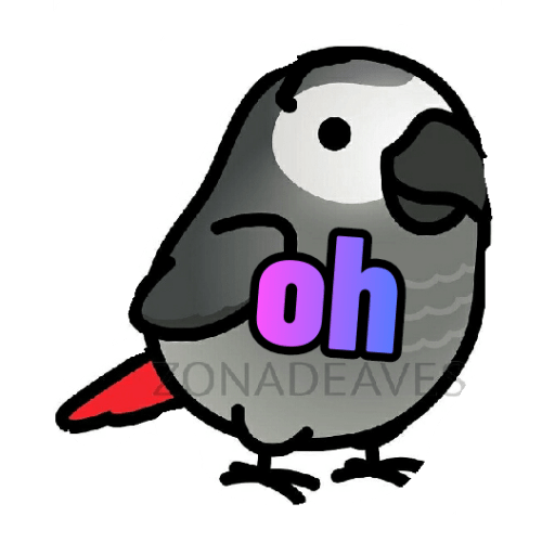 Loros loritos 22