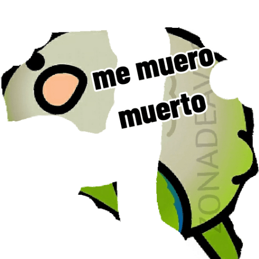 Loros loritos 13