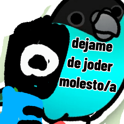 Loros loritos 14