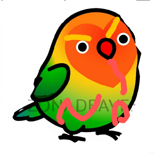 Loros loritos 27