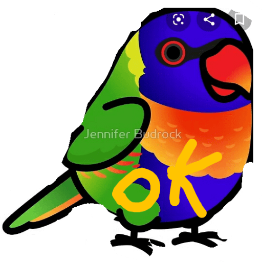 Loros loritos 12