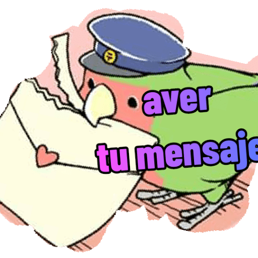 Loros loritos 9