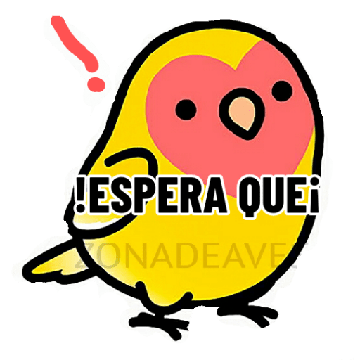 Loros loritos 25
