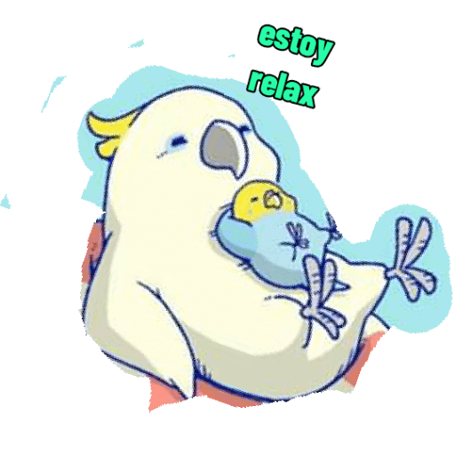 Loros loritos 5