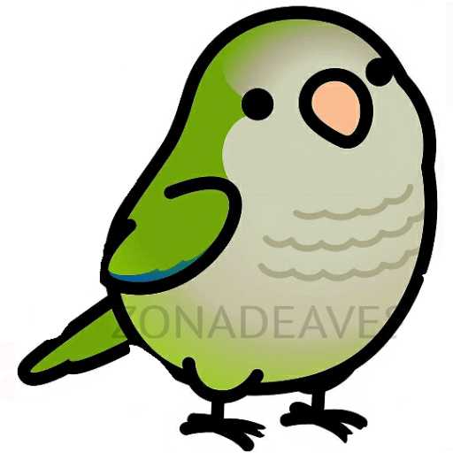 Loros loritos 17