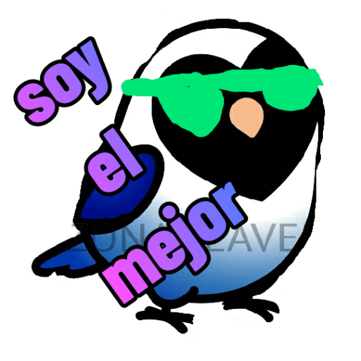 Loros loritos 20
