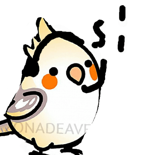 Loros loritos 21