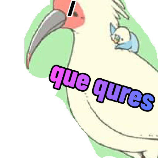 Loros loritos 10