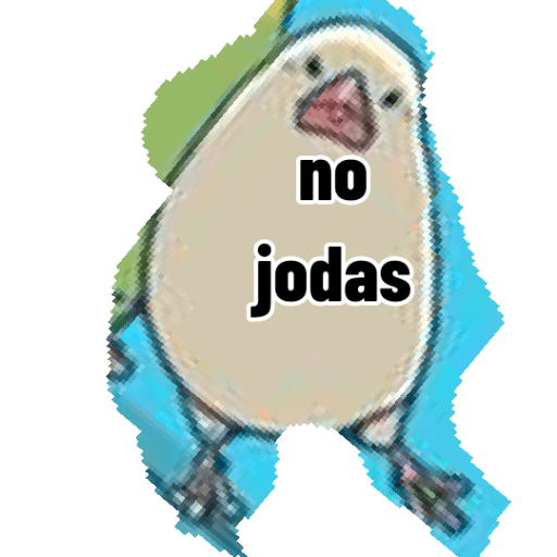 Loros loritos 11