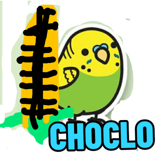 Loros loritos 8