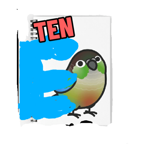 Loros loritos 7