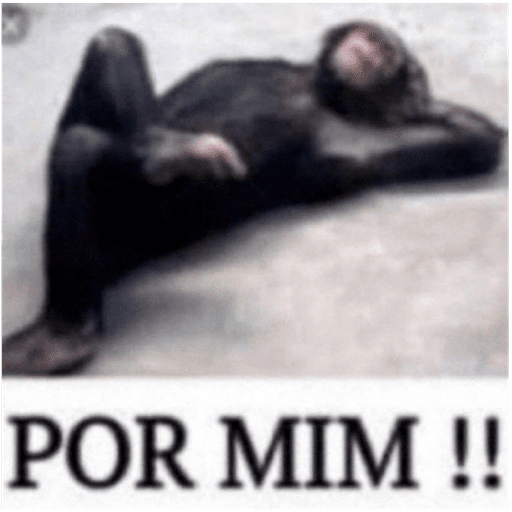 Floptok 4