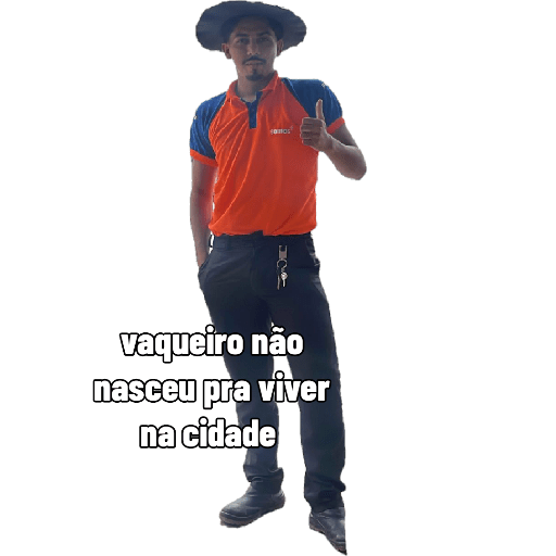 Motomais 12