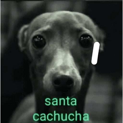 Nose 2