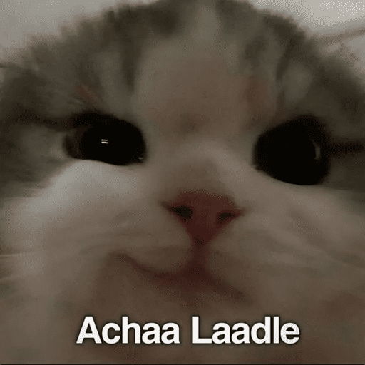 CAT MEME  10