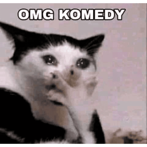 CAT MEME  26