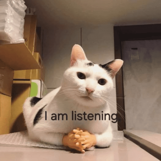 CAT MEME  13
