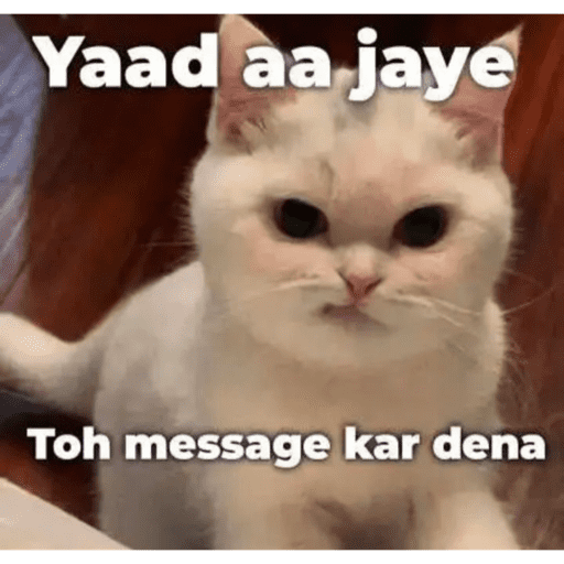 CAT MEME  18