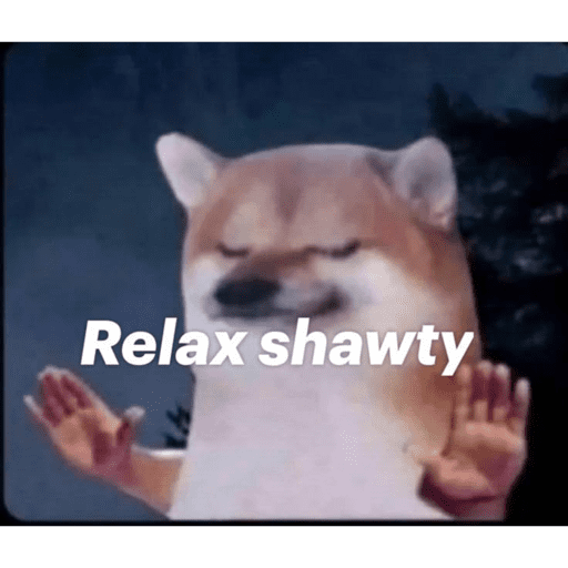 CAT MEME  9