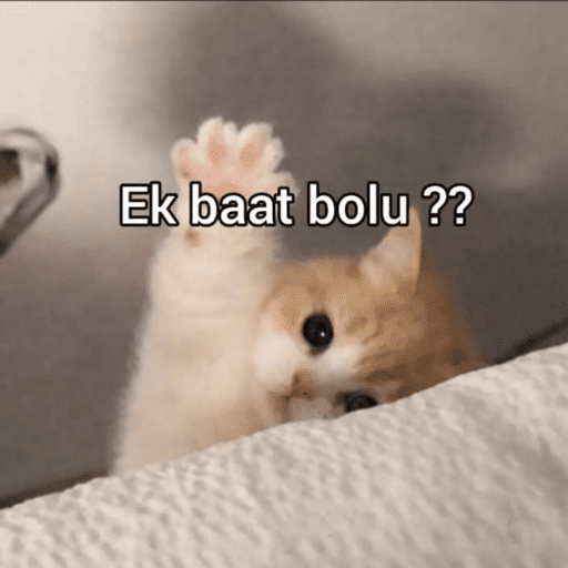 CAT MEME  14
