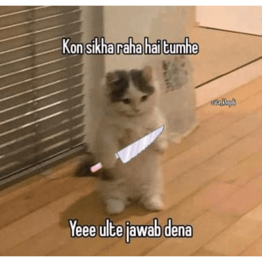 CAT MEME  21