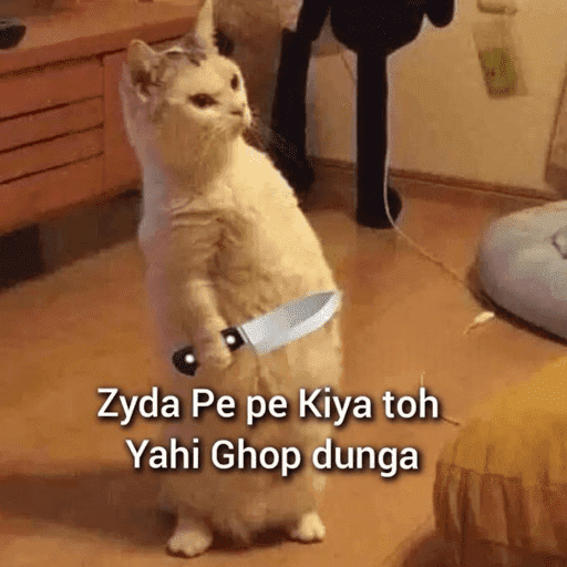 CAT MEME  22