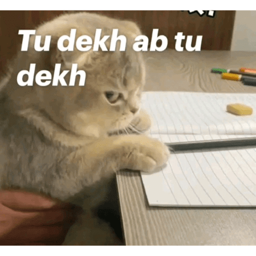 CAT MEME  8