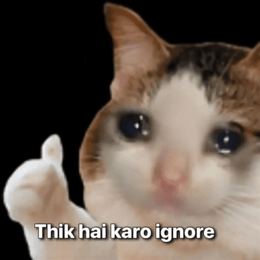 CAT MEME  16