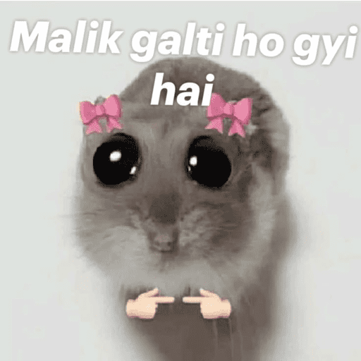 CAT MEME  7