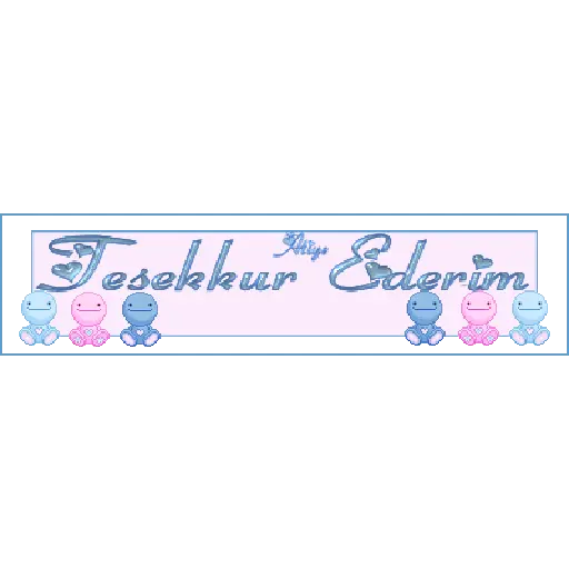 TEŞEKKÜR EDERİM 16