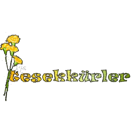 TEŞEKKÜR EDERİM 21