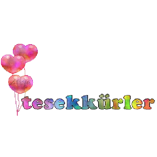 TEŞEKKÜR EDERİM 22