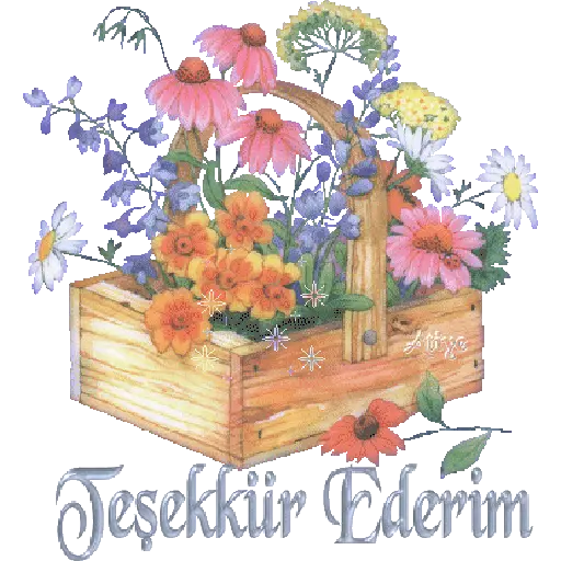 TEŞEKKÜR EDERİM 6
