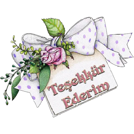 TEŞEKKÜR EDERİM 18